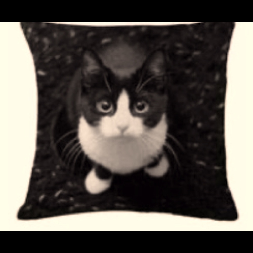 🆕🐈 Cat Throw Pillow Cover- Black and Cream